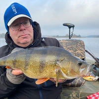 Westin Buzzbite Crankbaits 5cm/6g